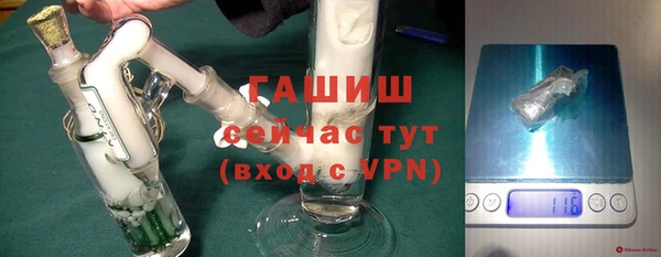 мдпв Богородск