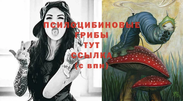 мдпв Богородск