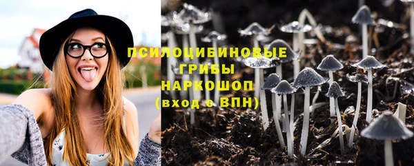 apvp Бронницы