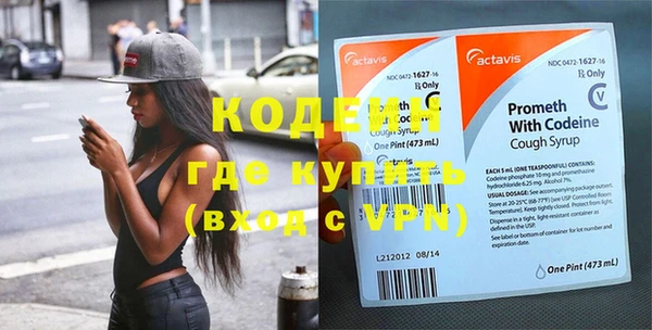 молекула духа Богданович