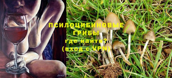 прущая мука Верхний Тагил