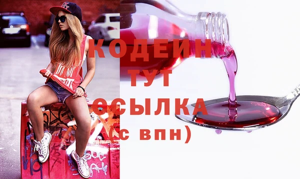 молекула духа Богданович