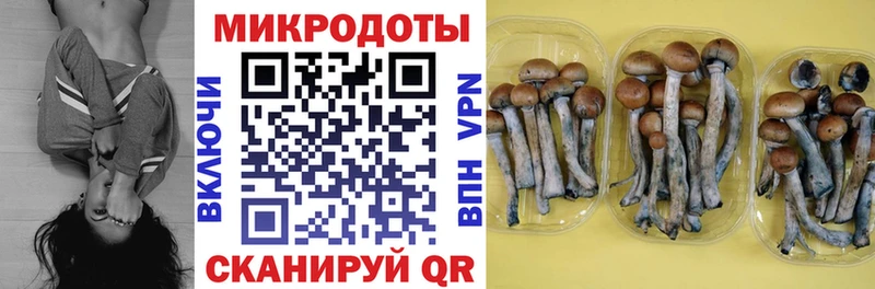 OMG ONION  где найти наркотики  Плёс  Галлюциногенные грибы Psilocybe 